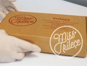 miss-trilece-imalathane-uretim-tesisleri (26)